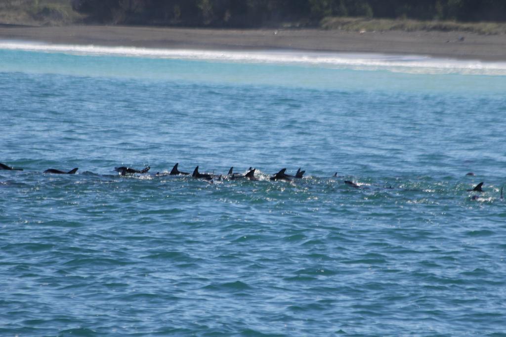 Boutique Hotel Kaikoura Eksteriør bilde