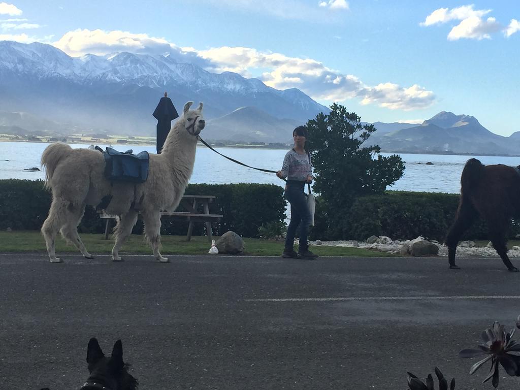 Boutique Hotel Kaikoura Eksteriør bilde